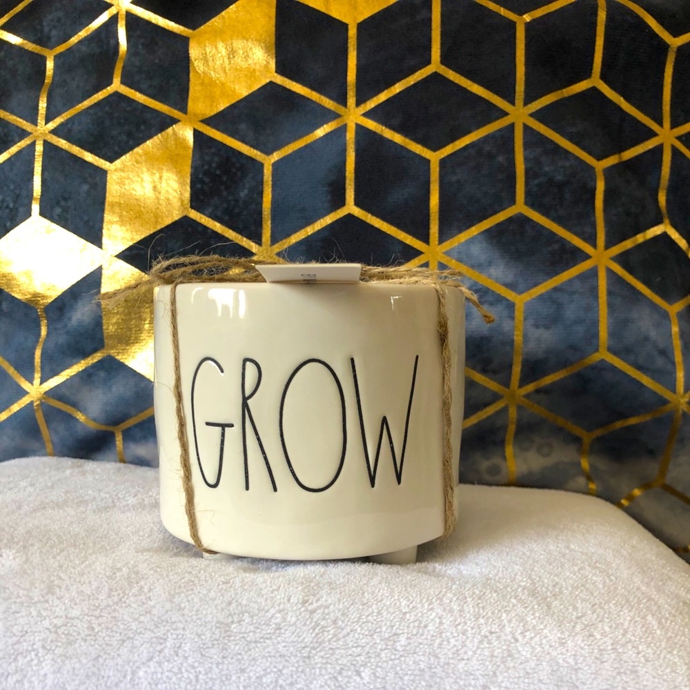 Rae Dunn plant pot